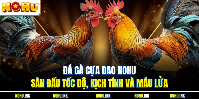 Đá Gà Cựa Dao NOHU - Sàn Đấu Tốc Độ, Kịch Tính Và Máu Lửa