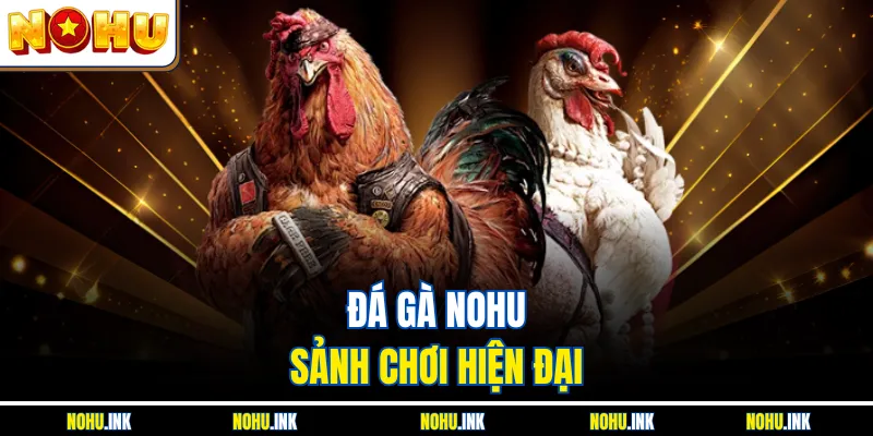 Đá gà NOHU - Sảnh chơi hiện đại