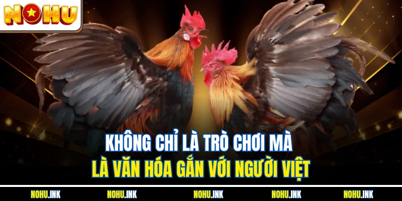 Không chỉ là trò chơi mà là văn hóa gắn với người Việt